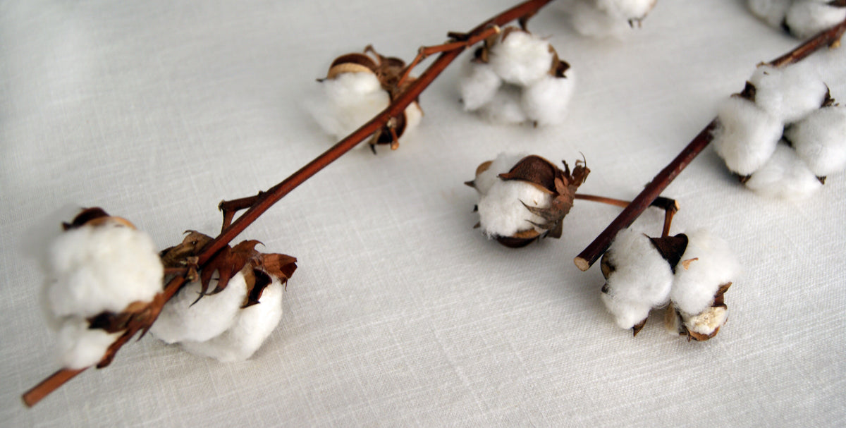 Les Monts - Materials | Cotton Plant